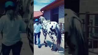 4 сентября 2020 г.