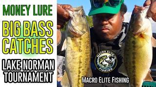 How to Catch 10+ BASS on a Swim Jig as Co-Angler - Living The Dream -Tournament - Lake Norman