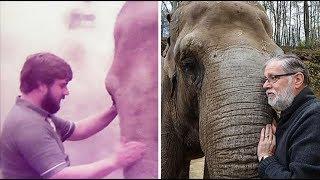 Herzerwärmend: Elefant erkennt Pfleger nach 30 Jahren wieder
