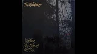 The Walkabouts - Setting The Woods On Fire 1994 Full Vinyl 2LP