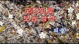 음양오행 下 오행으로 보는 성격 - 피클의 행복한 명리