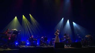 藤原さくら - spell on me（Sakura Fujiwara Tour 2024 wood mood Live at NHK Hall）