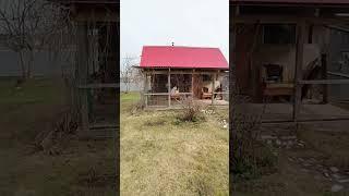 Представляю Вам в Продажу Дом #дом #удмуртия #загородная жизнь