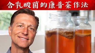 含乳酸菌的康普茶作法,發酵食物好處,柏格醫生 Dr Berg