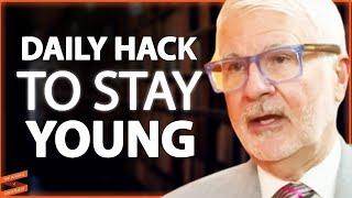 The DAILY HACKS To End Inflammation & Increase Your LIFESPAN | Dr. Steven Gundry