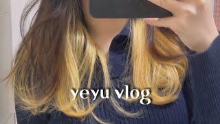 VLOG #3 | 집순이 자취생의 일상 | 욕망의 으른 카레, 배추전 | 어퓨 (블러셔, 틴트)