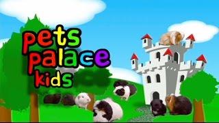 Pets Palace Kids | Trailer