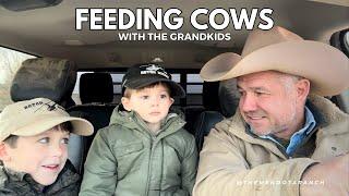 Grandkids helping Pappy #cows #ranch #grandkids