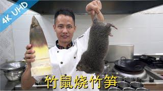 Chef Wang teaches you: "Braised Bamboo Rat with Bamboo Shoot" the bamboo rat is farm raised for food