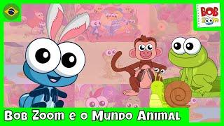 Bob Zoom e o Mundo Animal | Bob Zoom | Vídeo Infantil Musical Oficial @BobZoom