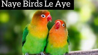 Naye Birds Le Aye | Girl In Pets Town