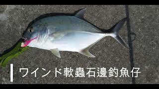 ワインド軟蟲石邊釣魚仔 香港迪士尼岸釣GT