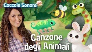 La canzone degli animali - Dance with Greta - Italian Songs for Children by Coccole Sonore