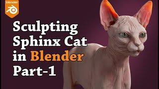 Cat sculpting in Blender Part 1