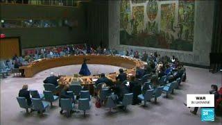 UN Security Council to meet Friday on biological weapons at Moscow's request • FRANCE 24 English