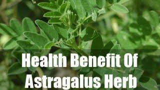 Health and Beauty Benefits of the Chinese Herb Astragalus