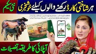 Maryam Nawaz 2 New Schemes in Punjab | Livestock Card Banane Ka Tarika | Livestock Card Apply Online