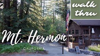 Do you miss Mount Hermon ?? You can almost smell it. Walk thru Mt. Hermon / Enjoy God's Beauty