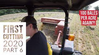 First Cutting 2020 Part 6 - Raking and Baling Orchard, Timothy and Alfalfa QUALITY Small Square HAY