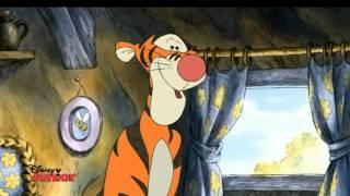 Mini Adventures of Winnie the Pooh - 'The Most Wonderful Things About Tiggers'