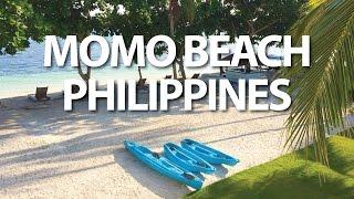 Momo Beach House Panglao Bohol Philippines