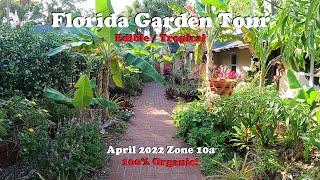 Florida Organic Edible / Tropical Garden Tour | April Zone 10a