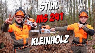 STIHL MS 241 Buche Handjob