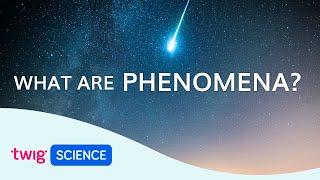 Phenomena Explained: What is phenomena-based learning? | Twig Science