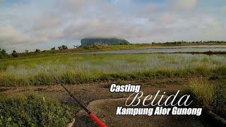 Casting Belida Kampung Alor Gunong, Alor Setar, Kedah