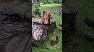 Splitting Cherry wood for winter with an Antique American Axe