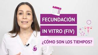 ¿Cuáles son los tiempos durante un tratamiento de FIV?