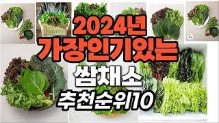 지금 사야 할 쌈채소 2024년 추천 Top10