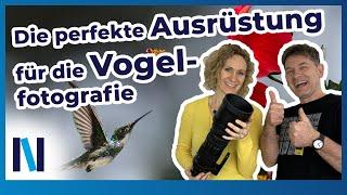 Vogelfotografie: Mit der richtigen Ausrüstung die gefiederten Freunde perfekt in den Kasten bringen