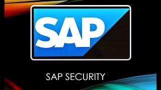 SAP Security- Check applications contained in roles are Startable SE38-RSUSR_START_APPL