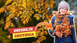 Naturalny Antybiotyk Którego Boi Się Grzybica