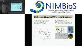 Modeling gene expression and regulation in response to light-dark signaling