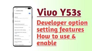 Vivo Y53s Developer option setting features How to use and enable