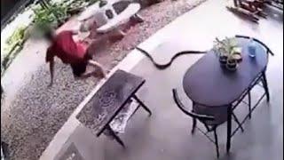 Watch: Sudden Snake Attack Sends Man Running