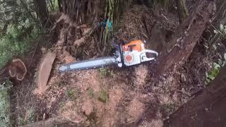 Stihl ms400R c-m, NorCal Coast - Real World Testing