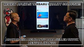 REVIEW APLIKASI TERBARU QUALITY GOLDFISH!!! APAKAH BISA MEMBANTU PARA SELLER UNTUK JUAL IKAN???