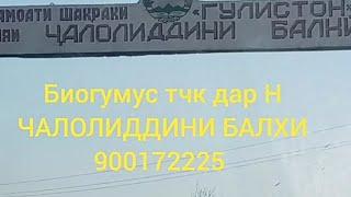 Биогумус тчк дар Н ЧАЛОЛИДДИНИ БАЛХИ 900172225