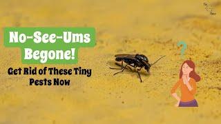 No-See-Ums Begone! How to Get Rid of These Tiny Pests for Good | The Guardians Choice