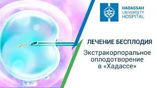 Лечение бесплодия в Израиле - центр ЭКО (экстрокорпоральное оплодотворение) МЦ 'Хадасса'