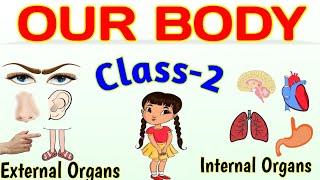 OUR BODY-CLASS 2 | External Organs, Internal Organs and Sense Organs | SCIENCE | EVS