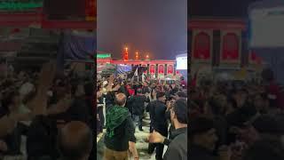 Nasiran e Mehdi ajf Arbaeen walk 2019