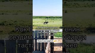 #подпишись #horse #арабскиелошади #reels #дуэт #моялошадь #automobile #лошадки #animals #продажа