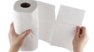 Look What I Did With Paper Towels! Perfect DIY Idea!