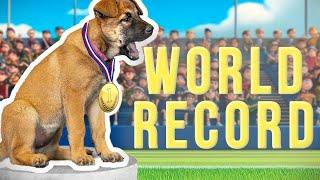7wo Puppy Shatters World Record