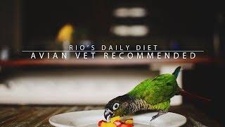 Rio's Daily Diet