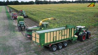 Großeinsatz Maishäckseln 2022 Maisernte Lohnunternehmen Landwirtschaft Silomais farmer corn harvest